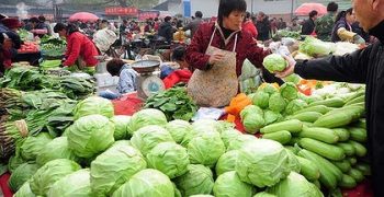 Chinese vegetable exports rise 5.1%