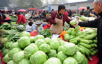 chines export veg