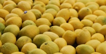 Argentine lemon exports to the US recommence