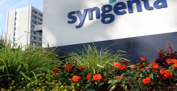 Syngenta holds field day for North East African customers