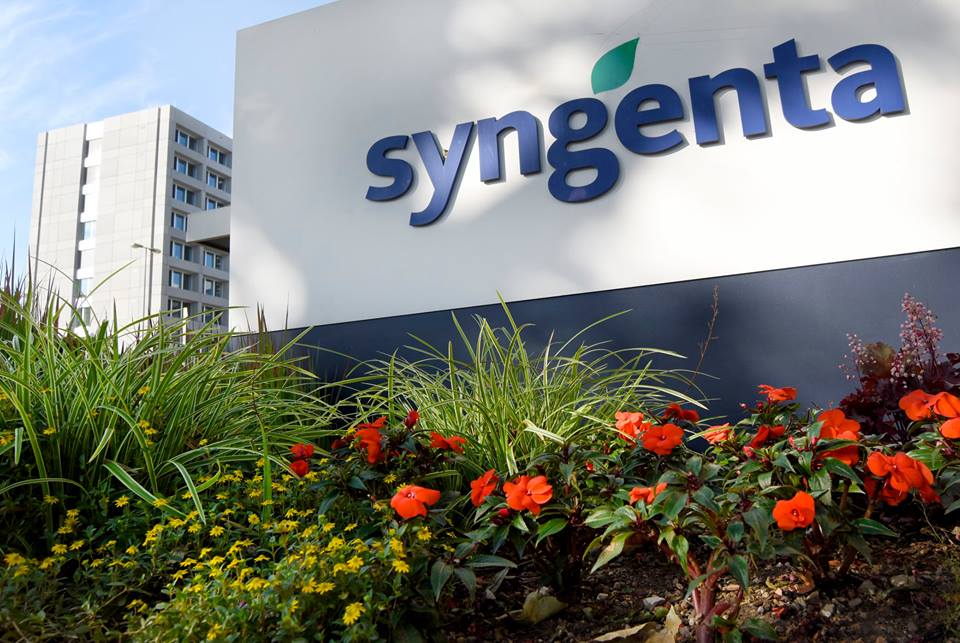 Syngenta jordania