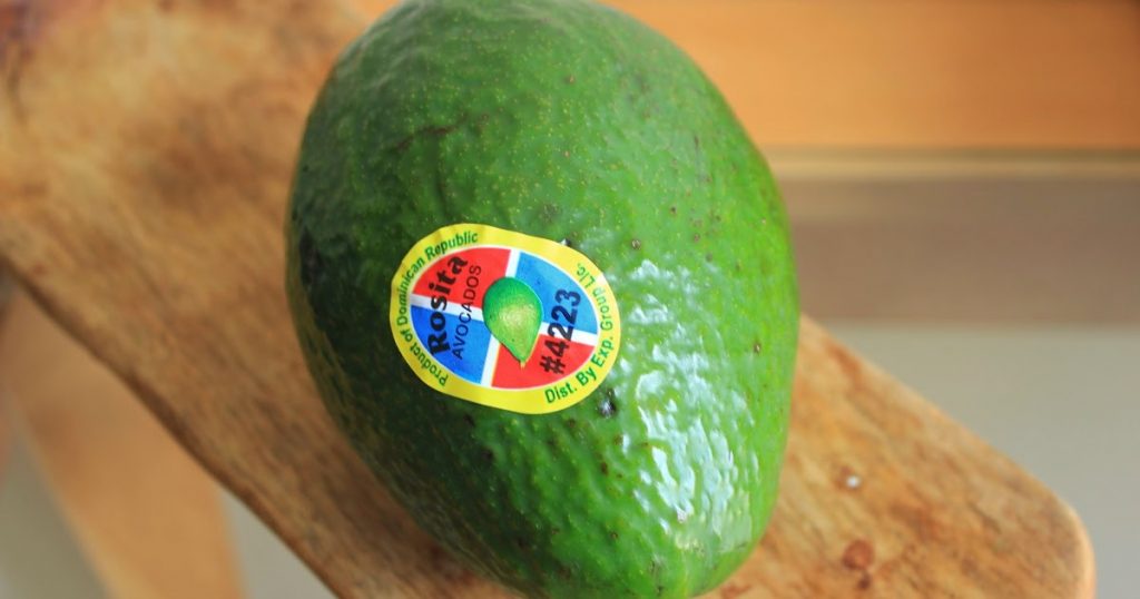 avocado rep domenicana