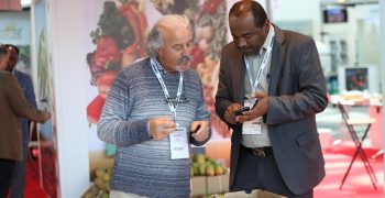 A large number of international participants at Macfrut 2018