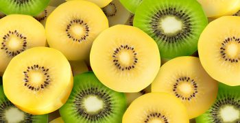 Zespri on track for record exports to China