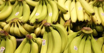New trade agreement between EU and Mexico lowers tariffs on bananas