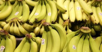 New trade agreement between EU and Mexico lowers tariffs on bananas