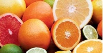 Chilean citrus exports expected to rise 17% thanks to new orchards and replenished reservoirs
