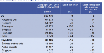 Low EU production favours French exports and rising apple prices