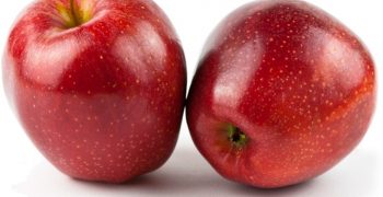 EU apple prices climb in March