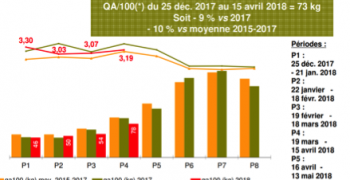 France’s tomato season opens with downward pressure on prices