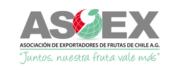ASOEX and FDF present programme for Chile’s fruit exports from the central-southern region