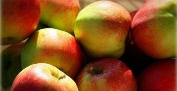 European apple stocks down 43% from 2017