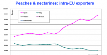 Spain remains emphatically Europe’s stone fruit king