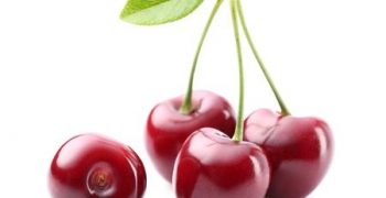 EU considers proposals to raise minimum cherry size