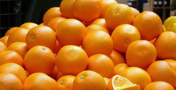EU citrus production declines less than expected in 2017/18