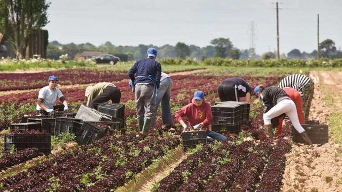 eu farmers