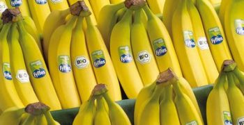 Fyffes recognised for Fairtrade contribution