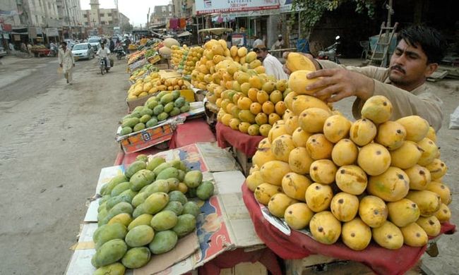 mango pakistan