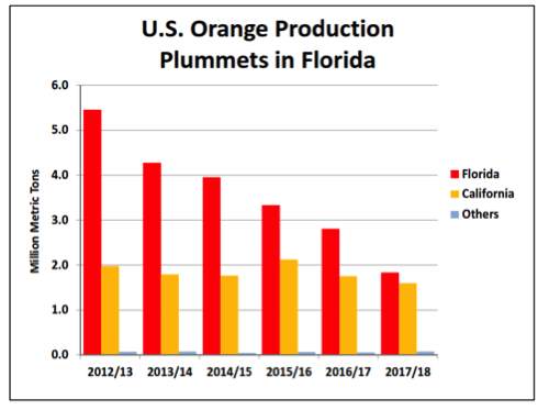 orange production