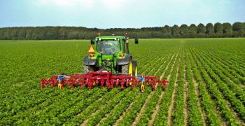 Organic farming in Flanders grows by 6%