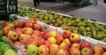 Catalonia expects fall in pear and apple harvest