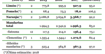 Spain records falls in output of all citrus except grapefruit