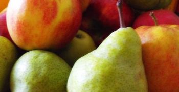 Crop warning for British apples