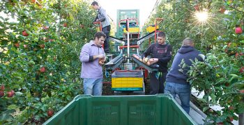 Interpoma, offers nice new guided apple tours in Trentino Alto Adige