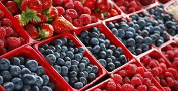 China imposes 25% tariff on US berries and vegetables