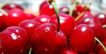 Exports of US cherries to Japan plunge by 46%