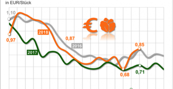 Leafy vegetable production limited by heat wave