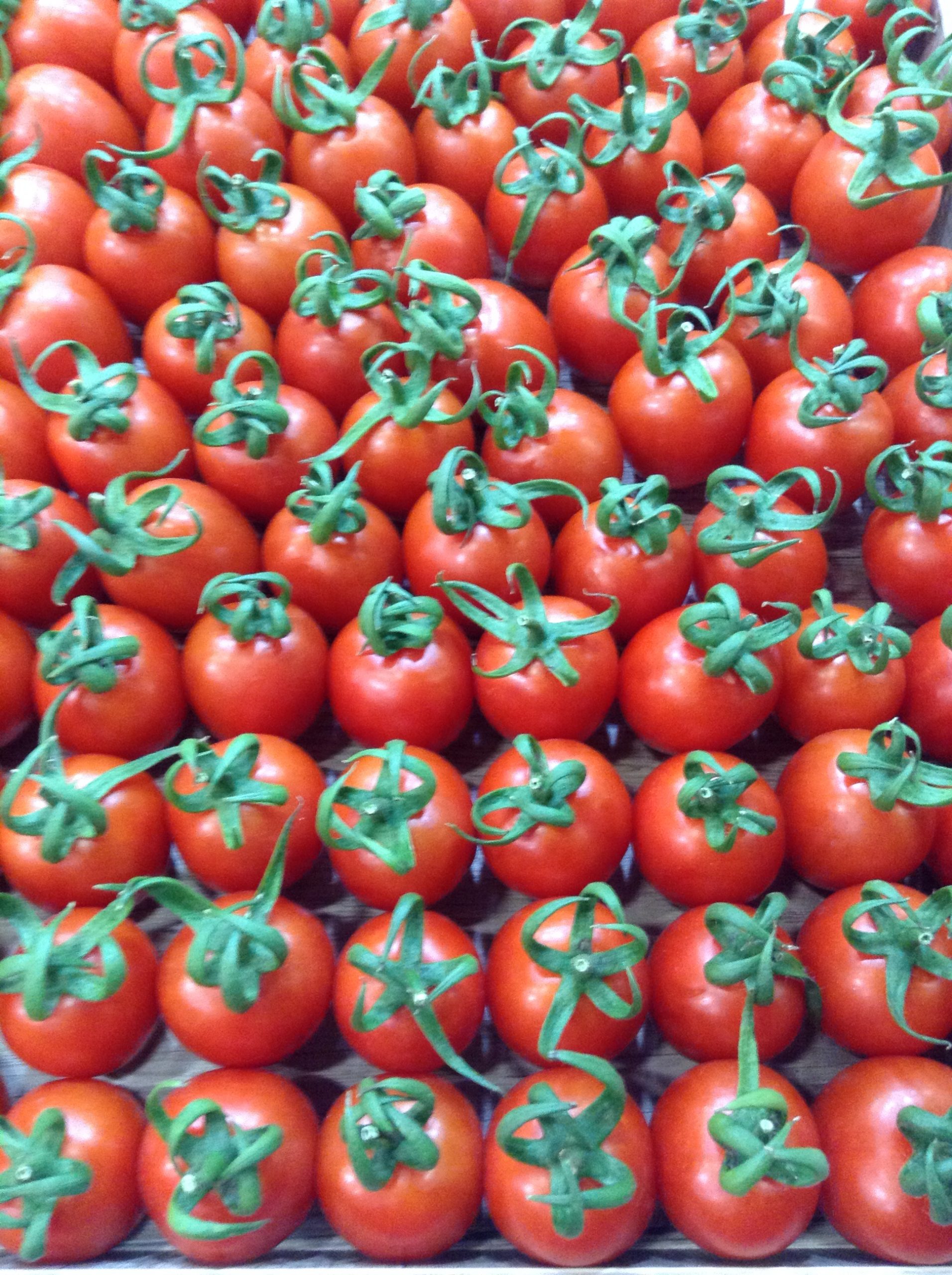 tomatoes azer