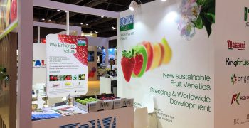 CIV at Asia Fruit Logistica: new successful apple, pear and strawberry varieties! Next CIV’s Exhibition at Fruit Attraction in Madrid