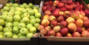 Hurricane destroys the orchard of one of the largest Russian grower