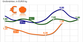 Western European tomato prices bottom out