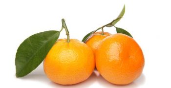 Smaller global tangerine crop forecast