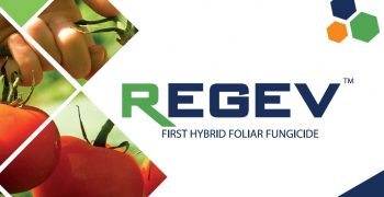 Regev and Timorex Gold finalists in 2018 Agrow Awards