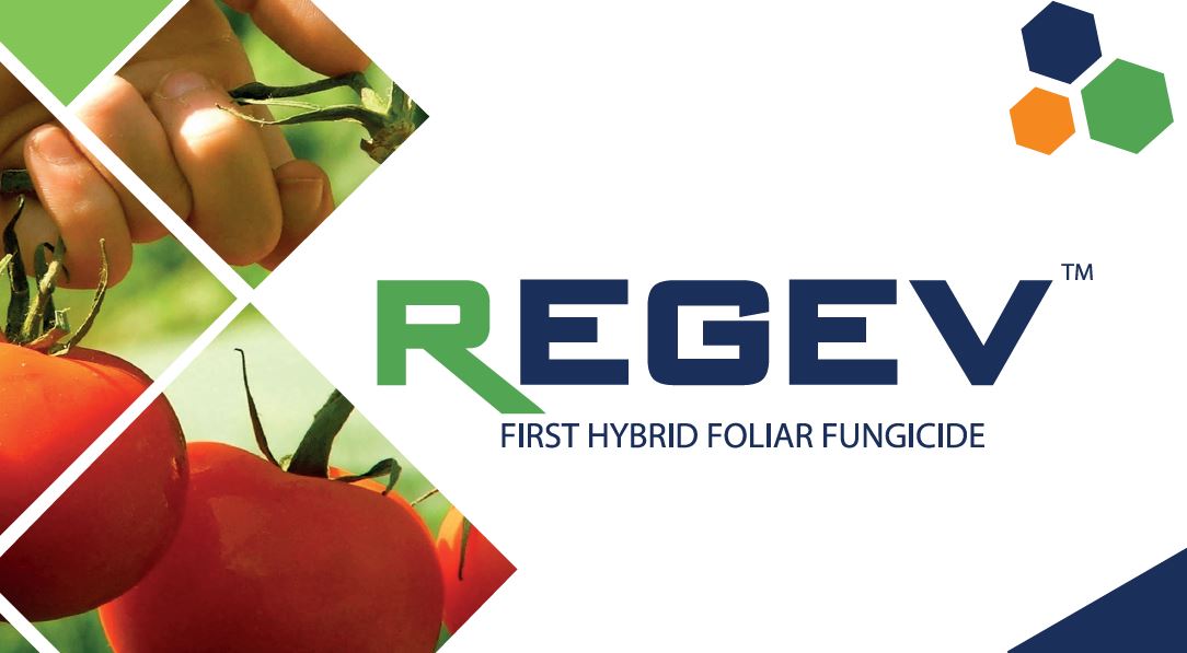 STK REGEV Hybrid fungicide named Agrow Award finalist for best new crop protection product and TIMOREX GOLD® finalist for best marketing campaign.