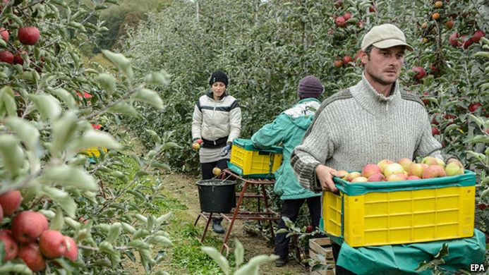 Drought relief subsidies for Polish farmers