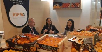 Chinese importers begin to recognise Valencian Citrus