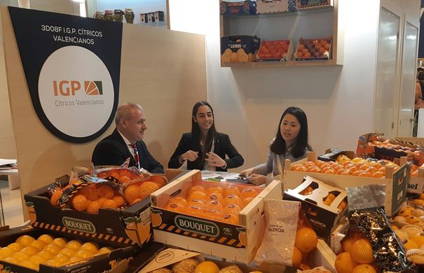 Chinese importers begin to recognise Valencian Citrus