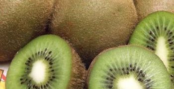 China looks to export kiwi to EU