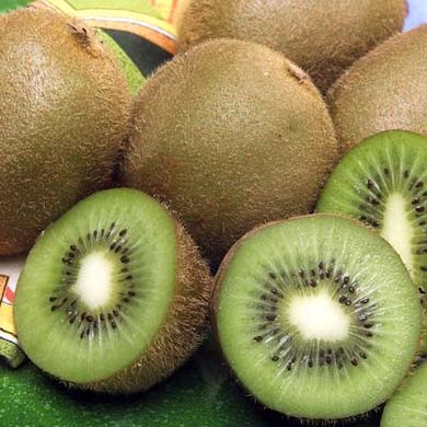 China looks to export kiwi to EU