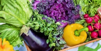 Chilean organic exports to EU soar past 2017 levels