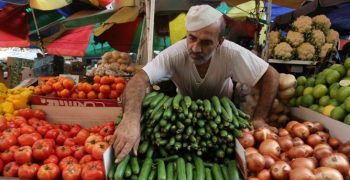 Russia expects 12.3% rise in vegetable output in 2018