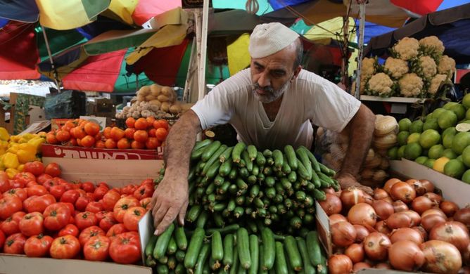 Russia expects 12.3% rise in vegetable output in 2018