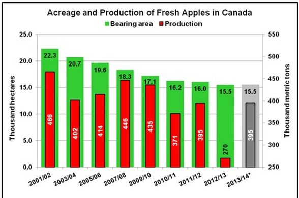 Canadian apple production estimated to rise 14% in MY 2018/19