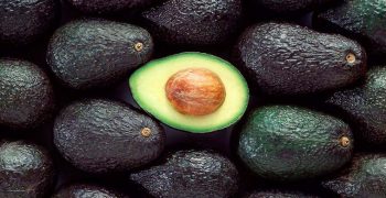 Strikes bring Mexico’s avocado capital to standstill