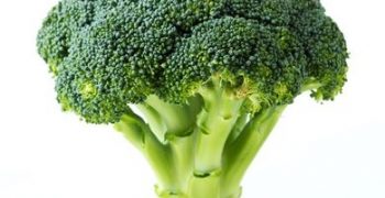 Bumper harvest expected for Spanish broccoli