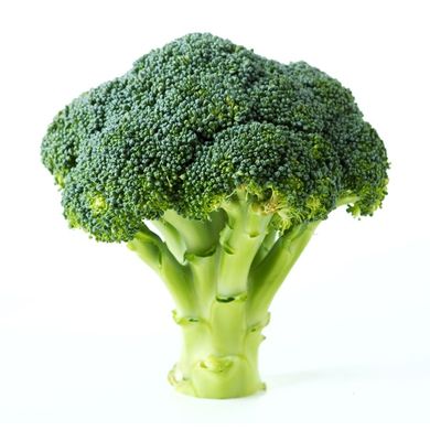 Bumper harvest expected for Spanish broccoli